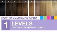 Chapter 1: Professional Hair Color Levels Explained