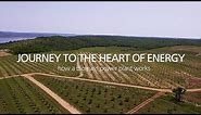 Journey to the heart of Energy - How a biomass power plant works