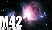 M42 - Orion Nebula - Deep Sky Videos