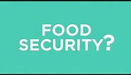 What is food security?