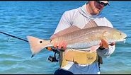 Wade Fishing Belt Review: ForEverLast G2 Wading Belt (Is this the best wade fishing belt?)