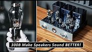KILLER Affordable Tube Integrated Amplifier For Audiophile Home Sound Systems !