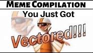 You Just Got Vectored - Meme Compilation
