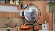 Stand Fan# Table Fan# And All Types of China Electric Fans- Fans Suppliers from China