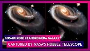 Cosmic Rose In Andromeda Galaxy Captured By NASA's Hubble Telescope