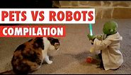 Pets Vs Robots Video Compilation 2020