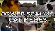 Powerscaling Cat Memes