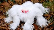 Giant Spider! Real Fluffy Albino Tarantula Caught (Hoax Or Not)