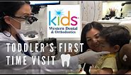1st Time Toddler Dentist Visit - Western Dental Kids - Pediatric Dentist Corina Ramirez