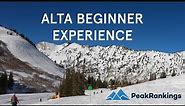 Is Alta Good for Beginners?