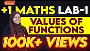 Plus Two Maths Practicals | Lab 1 - Value of Functions | Eduport Plus Two