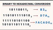 Binary to Hexadecimal Conversion | PingPoint