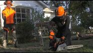 How to use a chainsaw & chainsaw safety tips