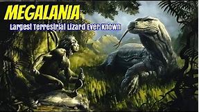 Megalania || Largest Terrestrial Lizard Ever Known