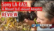 Sony LA-EA 5 Adapter Review: Real Time Tracking with vintage lenses!