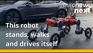 Watch: This four-legged robot on wheels can walk on two feet and drive itself