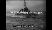 Greyhounds of the Sea - History of the U.S. Navy Destroyer 80260