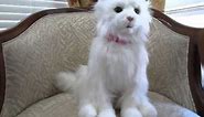 FurReal Lulu White Persian Cat Demo