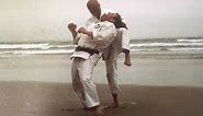 Wado Ryu Karate Techniques