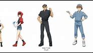Size Comparison Of Cells At Work Characters