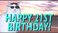 HAPPY 21st BIRTHDAY! - EPIC CAT Happy Birthday Song