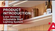 Product Introduction: Loox Wireless Adjustable Shelf Lighting System from Häfele