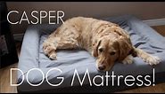 THE BEST DOG Mattress for 2024?- The Casper Dog Mattress - In-depth Review / Demo