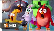 The Angry Birds Movie 2 (2019) - Lava Ball Eruption Scene (9/10) | Movieclips