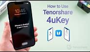 How to Unlock iPhone without Passcode using Tenorshare 4uKey (If Forgot)