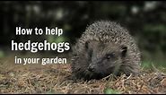 The Wildlife Garden Project - How to help hedgehogs in your garden