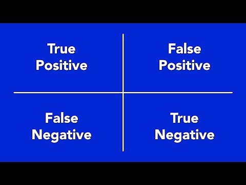 True Positive, False Positive, True Negative, and False Negative