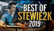BEST OF Stewie2K! (2019 Highlights) - CS:GO