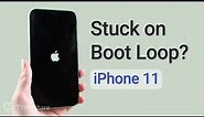 iPhone 11 Stuck in Boot Loop Issue? 3 Guaranteed Solutions