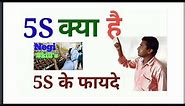 5S, What is 5S?, Benefits of 5S, 5S training, 5s training in hindi, 5s hindi,