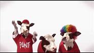 Chick fil A - Cow Commercial - the wave