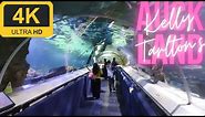 Kelly Tarlton's Walking Tour | Aquarium | Auckland | 4K