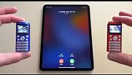 iPad Pro 11 vs mini Phones Incoming Call