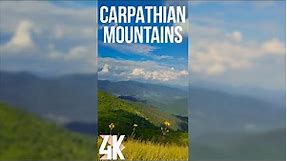 Incredible Nature of the Carpathian Mountains in Ukraine - 4K Vertical Video for Tablets & Phones