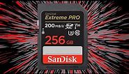 SanDisk 256GB Extreme PRO SDXC UHS-I Memory Card Unboxing and Review - Best SD Card for 4K UHD Video