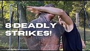 8 Deadly Strikes from a Secret Martial Art only Few Know About