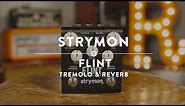 Strymon Flint Tremolo & Reverb | Reverb Demo Video