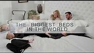 Alaskan King | The Biggest Beds on Earth