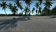 DreamScene [Live Wallpaper] - Crysis - Beach 2b (1080p) - Dual-Monitor