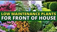 5 Best Low Maintenance Plants for Front of House Garden 🌿🍃 Ground Cover Plants 👍👌