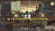 FFXIV | Stethacanthus Caught