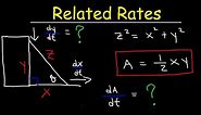 Related Rates - The Ladder Problem