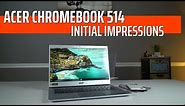 Acer Chromebook 514: First Impressions