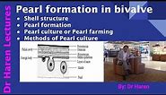 Pearl formation in bivalves