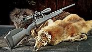 Savage Arms 110 Prairie Hunter .224 Valkyrie Review - RifleShooter
