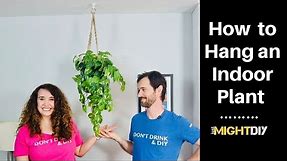 How to Hang a Plant from the Ceiling | Indoor Hanging Plant